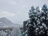 Skiing Japan - APPI Kogen and Gala Yuzawa resorts - Insights
