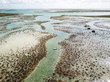 The Green About Keeping Ecosystems Pristine - An Economic Perspective