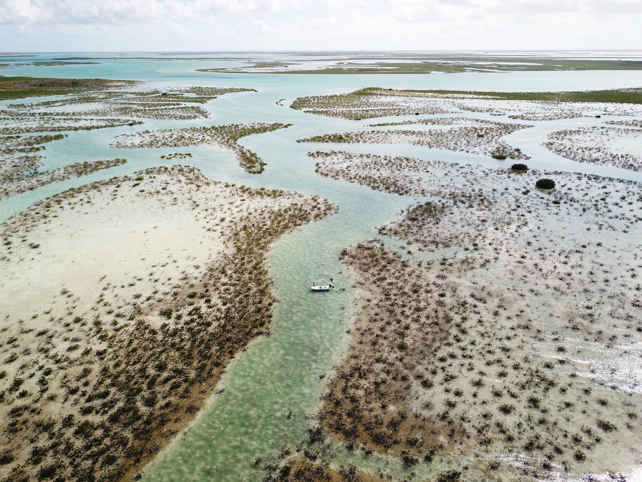 The Green About Keeping Ecosystems Pristine - An Economic Perspective
