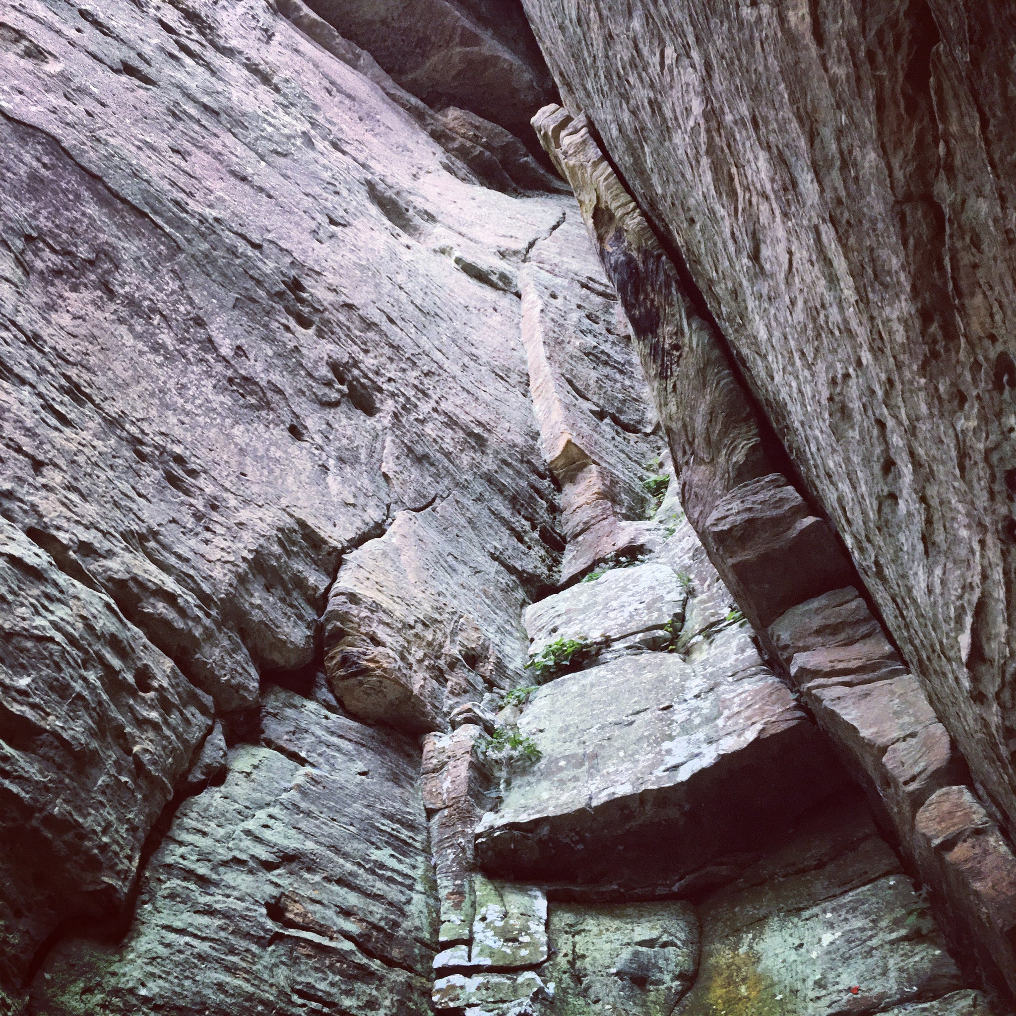 Supporting Local Climbers Rocktoberfest and Muir Valley in the Red R