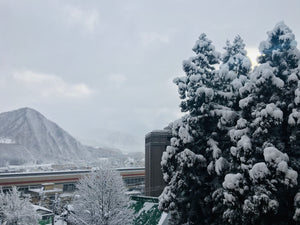 Skiing Japan - APPI Kogen and Gala Yuzawa resorts - Insights