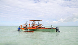 Kiribati Part I: Fly Fishing