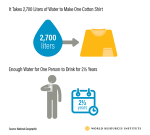 Biodiversity Impact from the Apparel Industry - The Cotton Example
